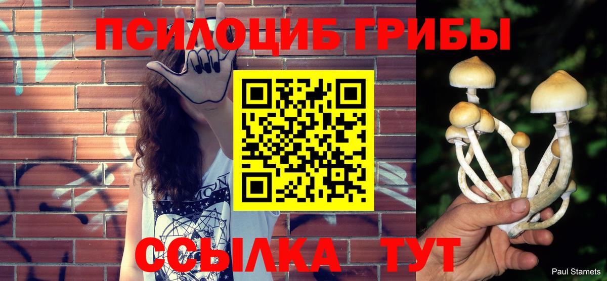 Псилоцибиновые грибы Cubensis  Вход с VPN  Ипатово 